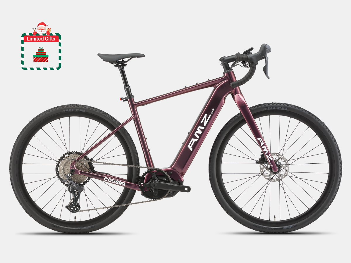 Cougar Electric Gravel Bike