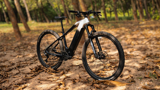 Amzcycle Paladin: Conquer Wild Trails