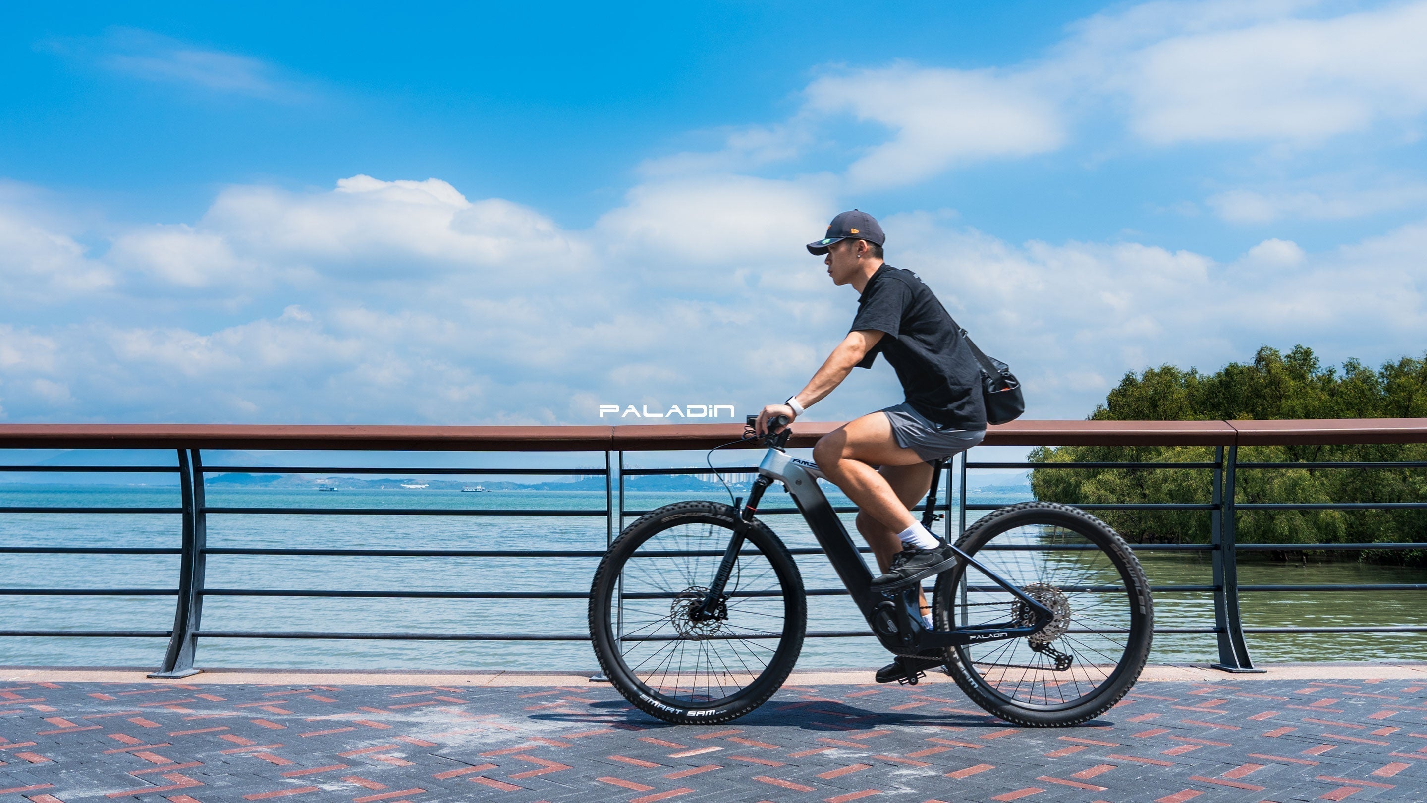 AMZcycle Paladin: Lightweight Electric Mountain Bike