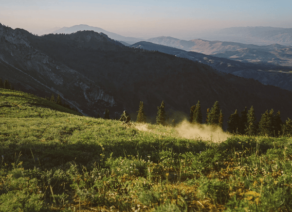 A mountain biker rides on a grassy hillside in the mountains, kicking up dust, with layered mountains behind.