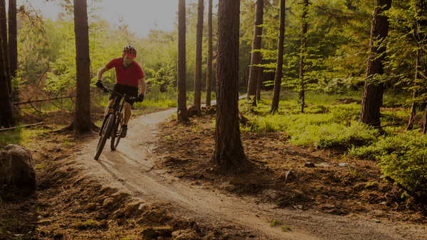 E-Bike Storage &amp; Cargo Solutions