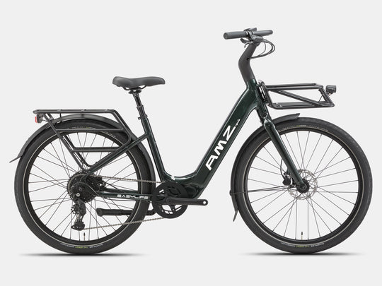 Easylife Electric Bike: Long Rides &amp; Adventure Ready