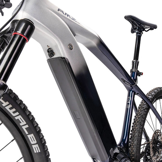 Paladin Electric Bike: Multiple Sizes