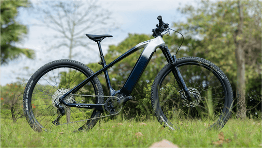 Paladin Electric Bike vs Traditional Bikes: Advantages
