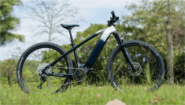Paladin Electric Bike vs Traditional Bikes: Advantages - AMZcycle