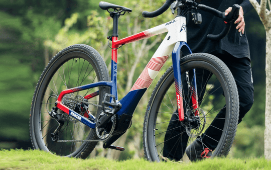 Ranger APEX Ebike: Adventure and Off-Road Performance