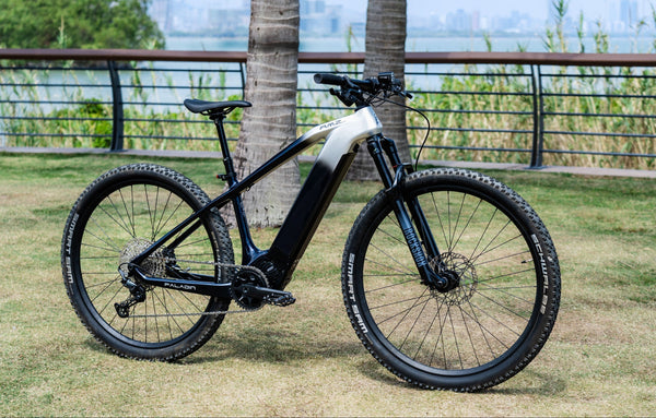 A black and silver electric mountain bike on grass, with city and water view in the background.