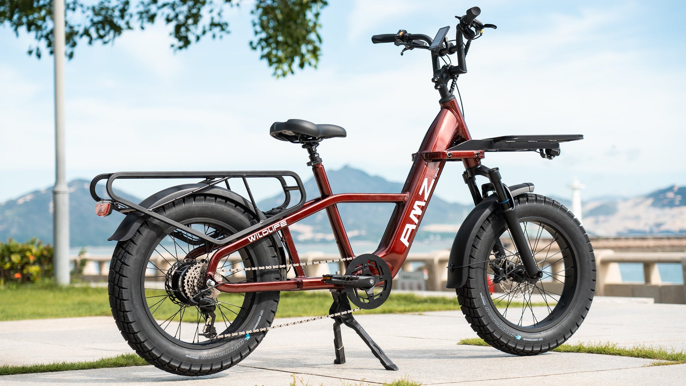 Best Sellers - AMZcycle