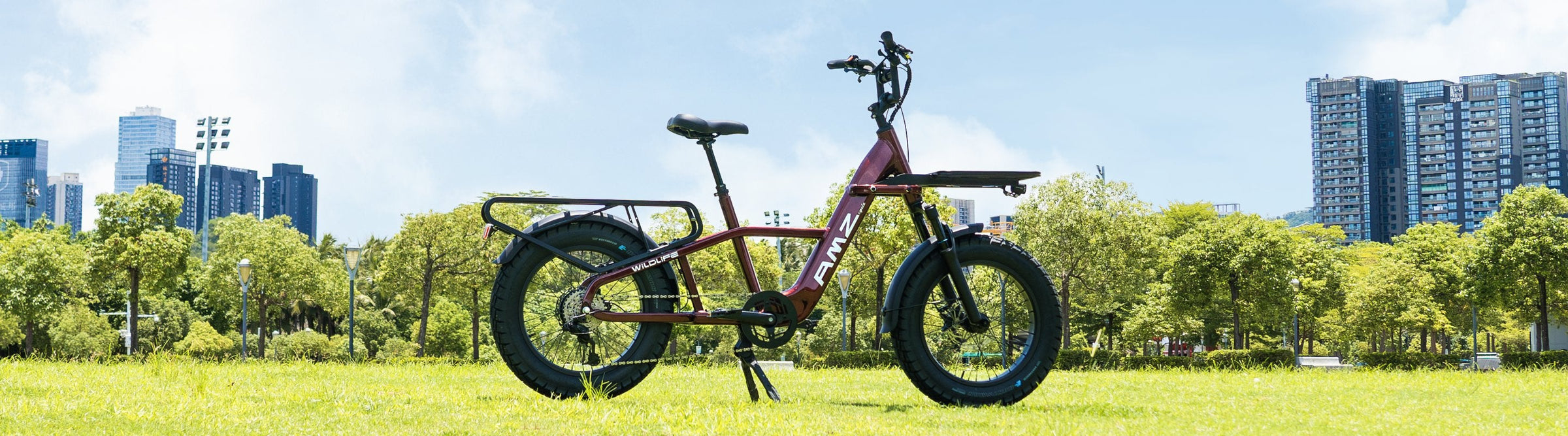 Electric cargo bikes - AMZcycle