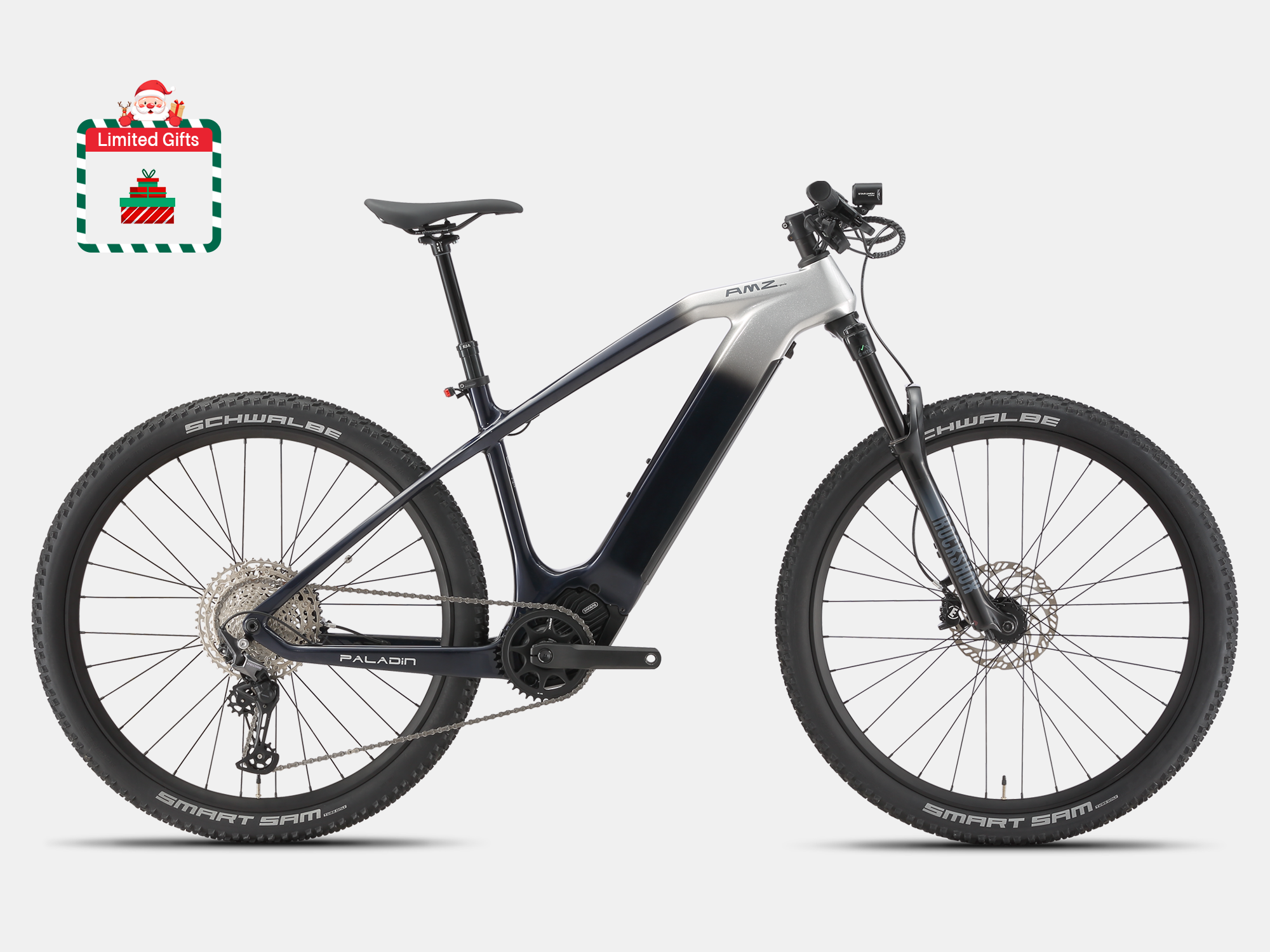 Paladin Electric XC Mountain Bike