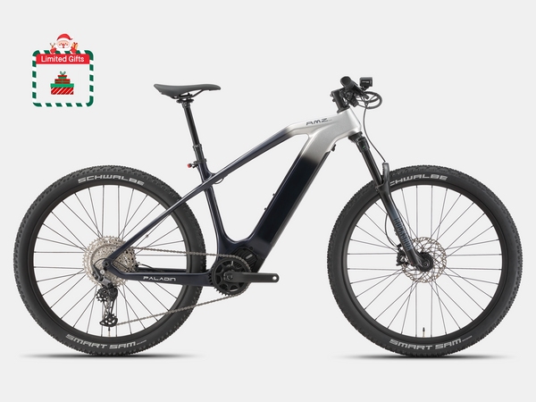 Paladin Electric XC Mountain Bike