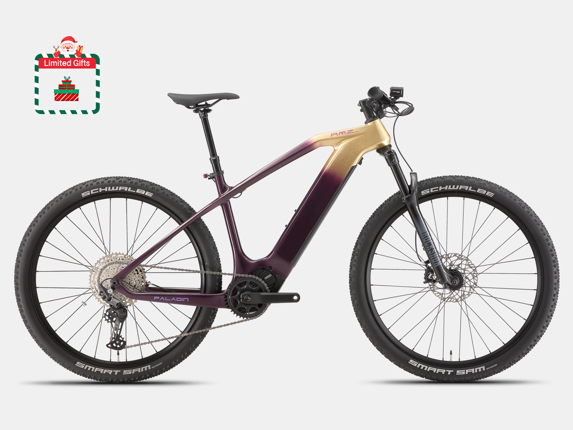 Paladin Electric XC Mountain Bike