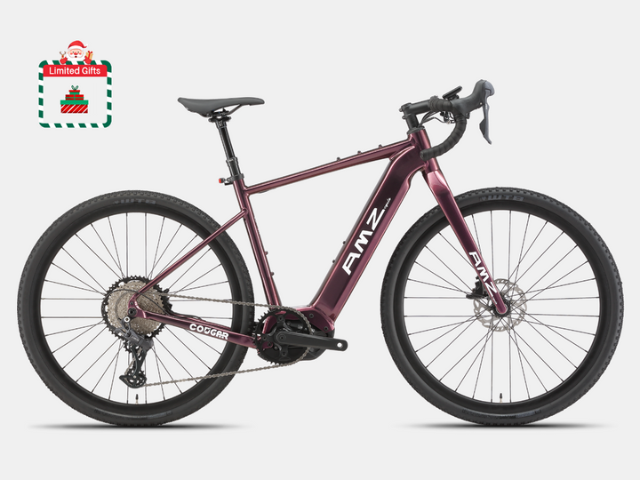 Cougar Electric Gravel Bike