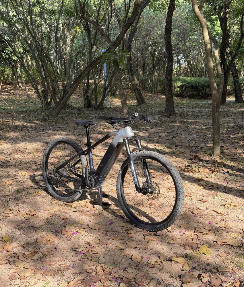 AMZcycle : Electric Bikes & Gravel Bikes & Road Bikes & Mountain Bikes