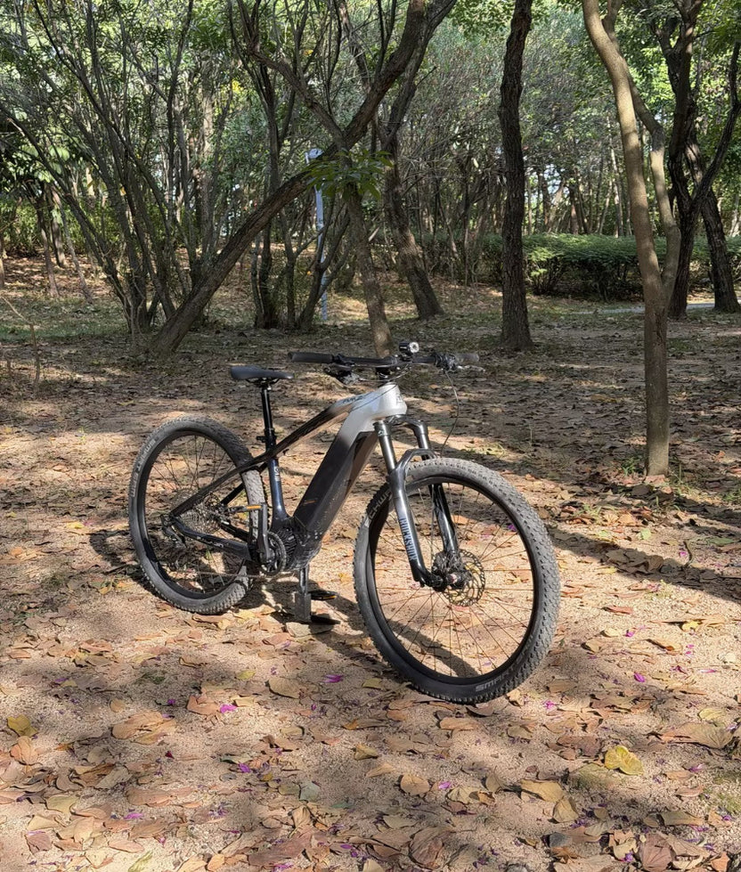 AMZcycle : Electric Bikes & Gravel Bikes & Road Bikes & Mountain Bikes