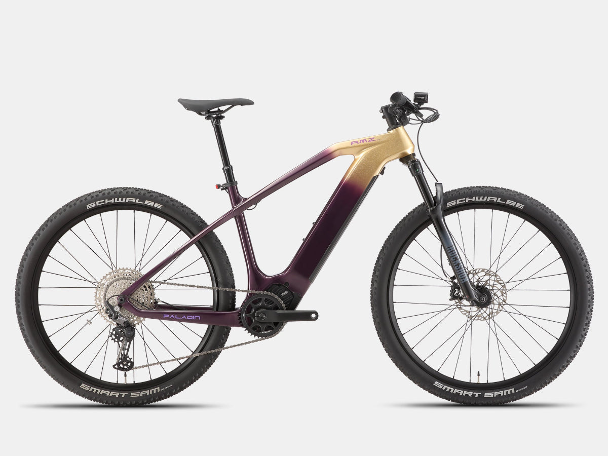 Paladin Electric XC Mountain Bike – All-Terrain,Carbon Frame – AMZcycle