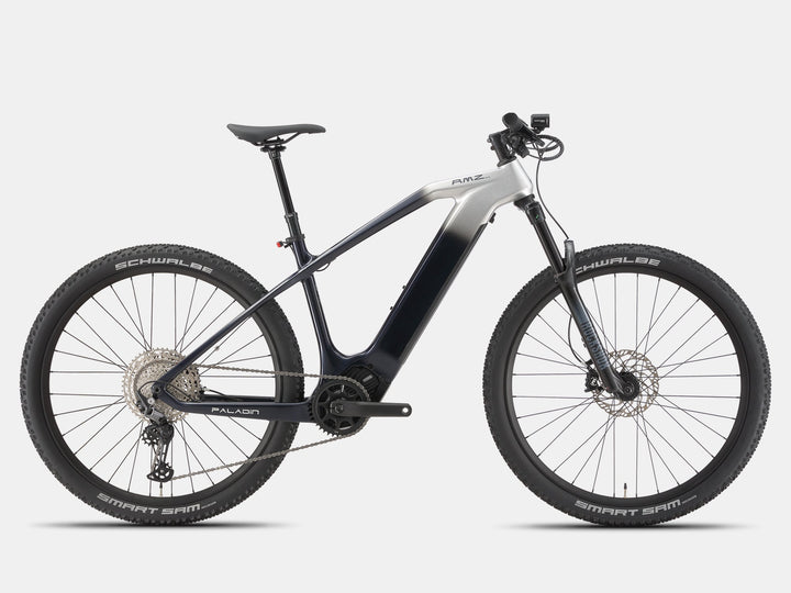 Paladin Electric XC Mountain Bike - AMZcycleDawn Silver