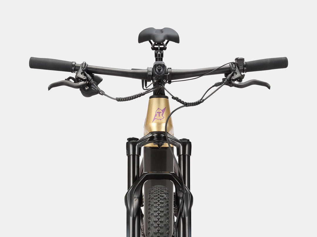 Paladin Electric XC Mountain Bike - AMZcycleGloam Gold