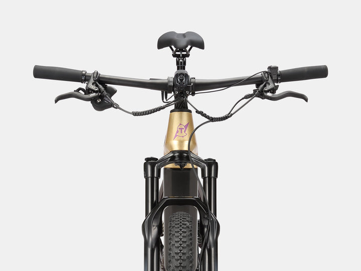 Paladin Electric XC Mountain Bike - AMZcycleGloam Gold